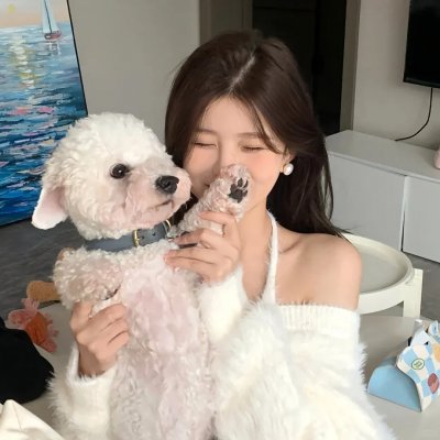 新·驯龙高手